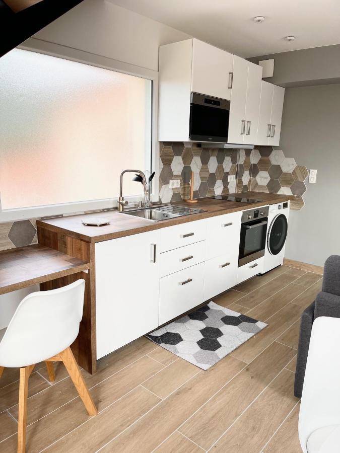 شقة La Parenthese Balneo T2 Cosy De 40M² Avec Terrasse Ternay  المظهر الخارجي الصورة